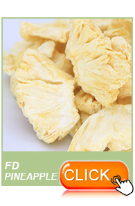 Wholesaler of dry fruit maker freeze dried banana chips processing