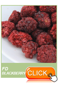 Wholesaler of dry fruit maker freeze dried banana chips processing
