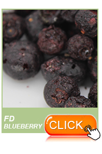 Wholesaler of dry fruit maker freeze dried banana chips processing