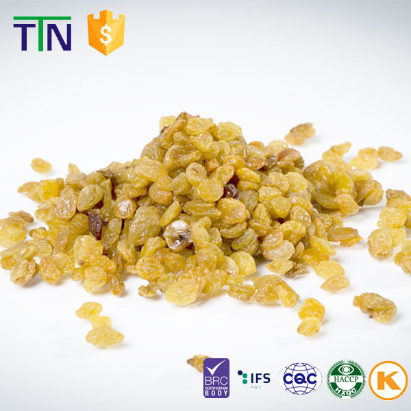 Ttn Bulk Industrial Dried Raisin Green Raisin Sultana Raisinchina