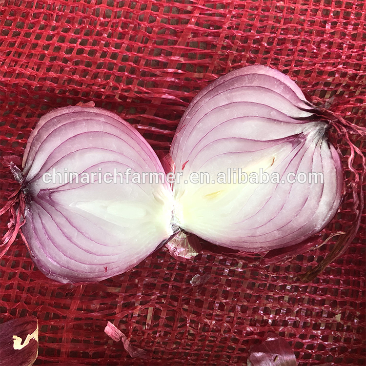 Wholesale Price Chinese Red Onion