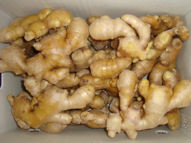 New crop best quality chinese supplier of dried ginger on sales