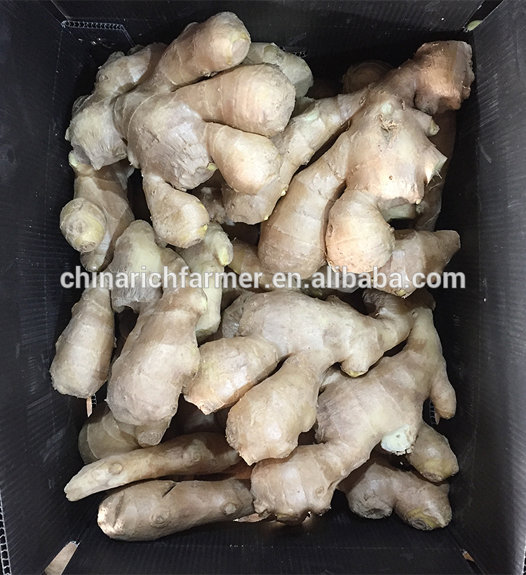 New crop best quality chinese supplier of dried ginger on sales