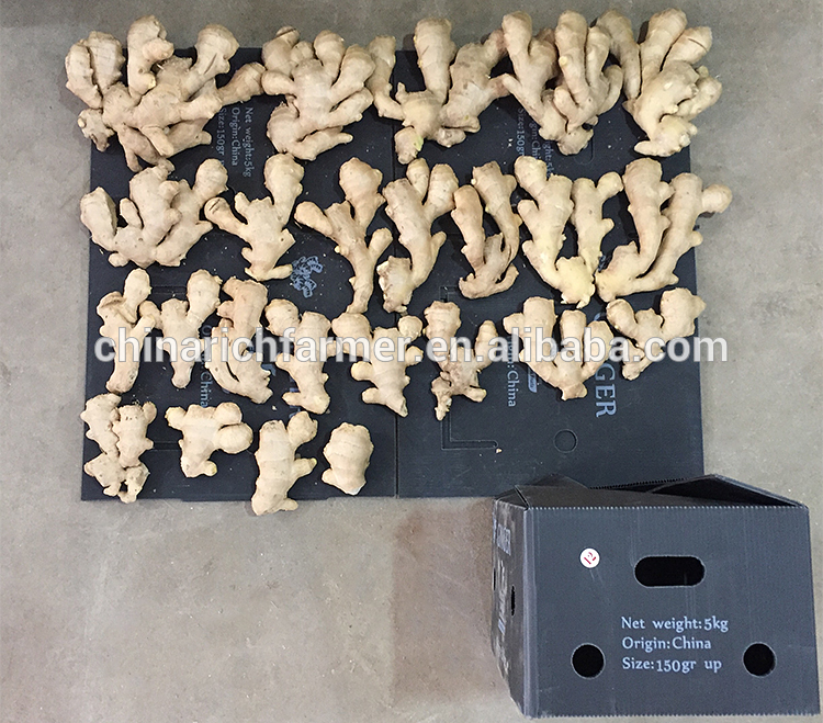New crop best quality chinese supplier of dried ginger on sales