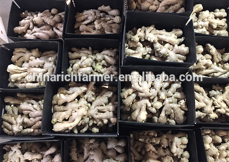 New crop best quality chinese supplier of dried ginger on sales