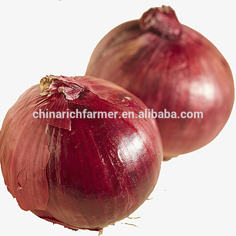 Fresh Red Onion For sale From China