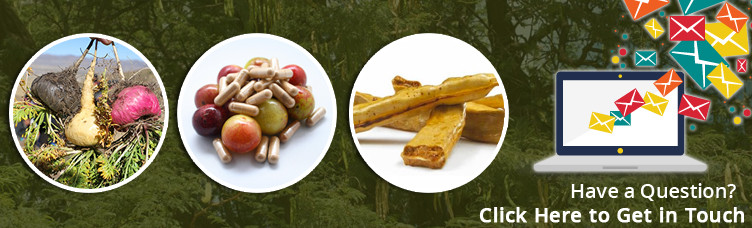 Healthy and Effective Maca Powder Gelatinized with Low Fat