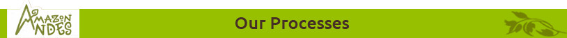 Peruvian Maca powder Available at Best Market Price Vitamin Rich Low Fat