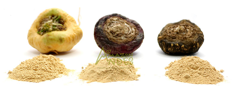 Maca 4:1 Atomized Extract powder