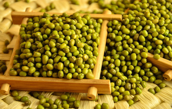 Hot sale green bean and myanmar green mung bean,China price supplier ...