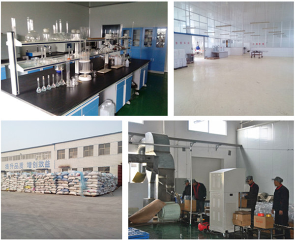Alibaba China canada sunflower seeds