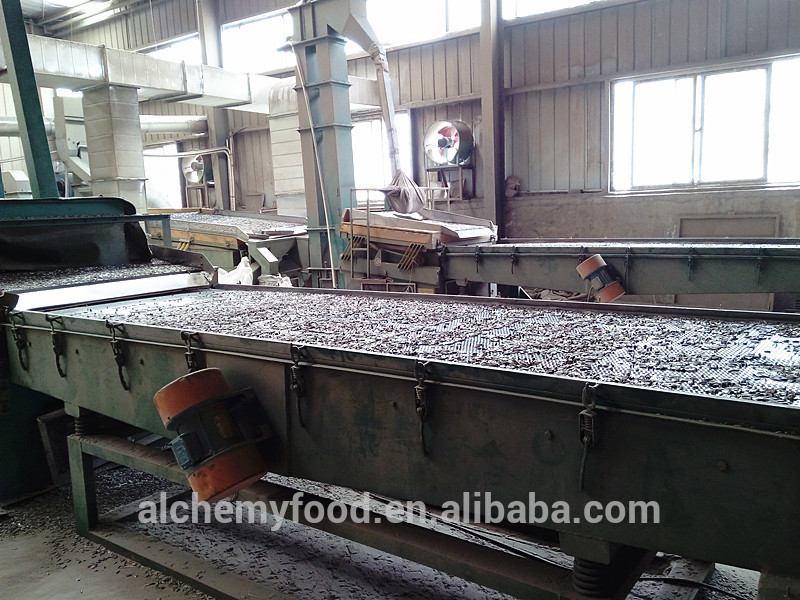 Alibaba China canada sunflower seeds