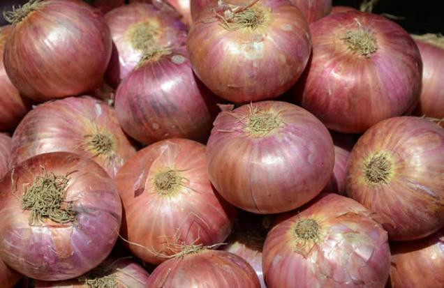 FRESH MAHARASTRA ONIONS