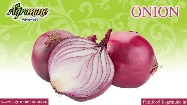 whole sale fresh red onion