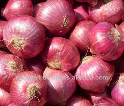 Fresh red big onion in bulk