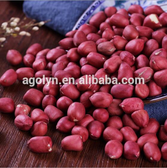 Organic Cultivation Type and Raw Red Skin Peanut Kernel for Snack