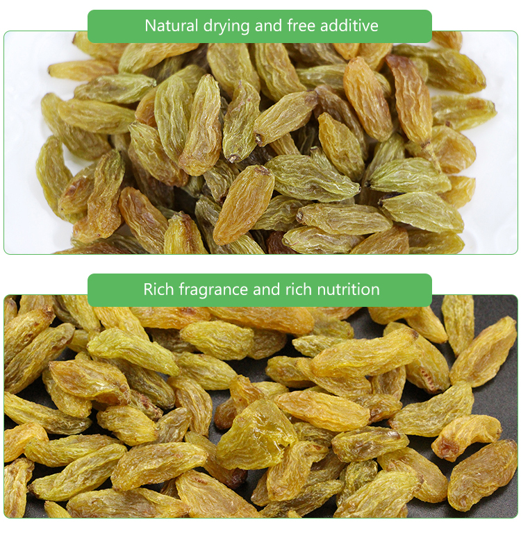 Xinjiang Jumbo Red Raisin Seedless