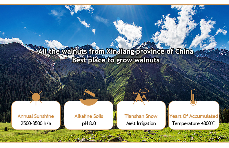 Organic Raw Walnut Kernel In China Healthy Nuts Wholesale