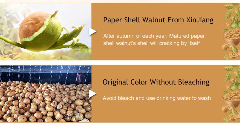 Organic Raw Walnut Kernel In China Healthy Nuts Wholesale