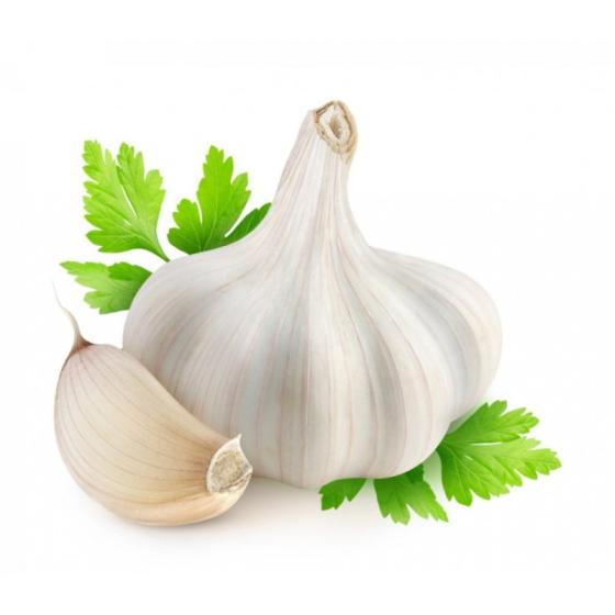 Hot Sale Fresh White / Red Garlic Low Price Garlic for Sale