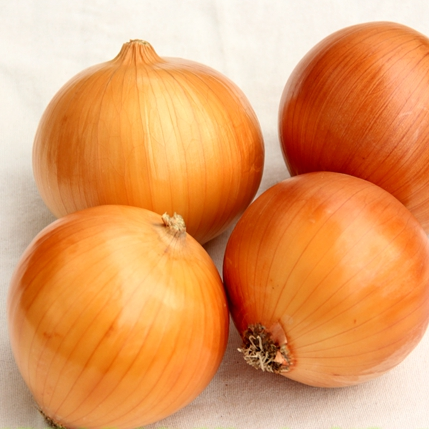High quality fresh red/yellow onion