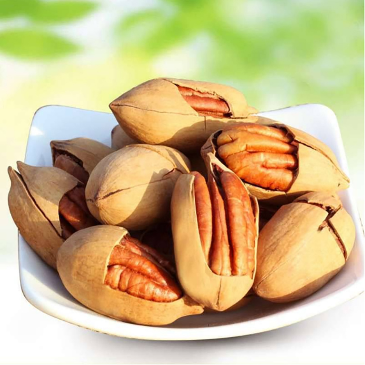 Farm Fresh Pecan nuts For Sell,South Africa price supplier 21food