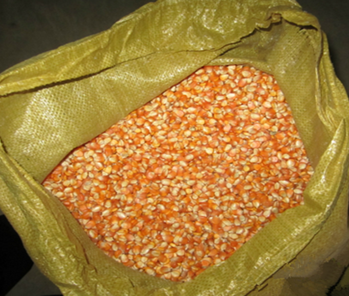 non-gmo-white-and-yellow-corn-maize-grade-1-south-africa-price-supplier