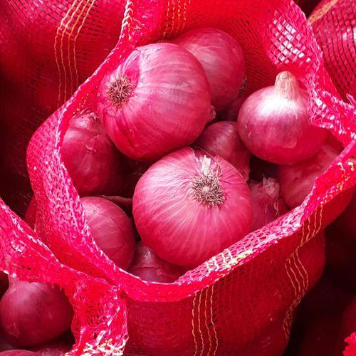 India Cool Fresh Red Onion, For Food, Net Bag