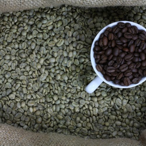 Moderate prices Coffee beans / Robusta / Arabica All In Premium Quality