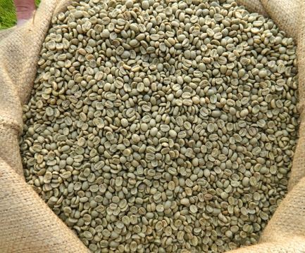 Moderate prices Coffee beans / Robusta / Arabica All In Premium Quality