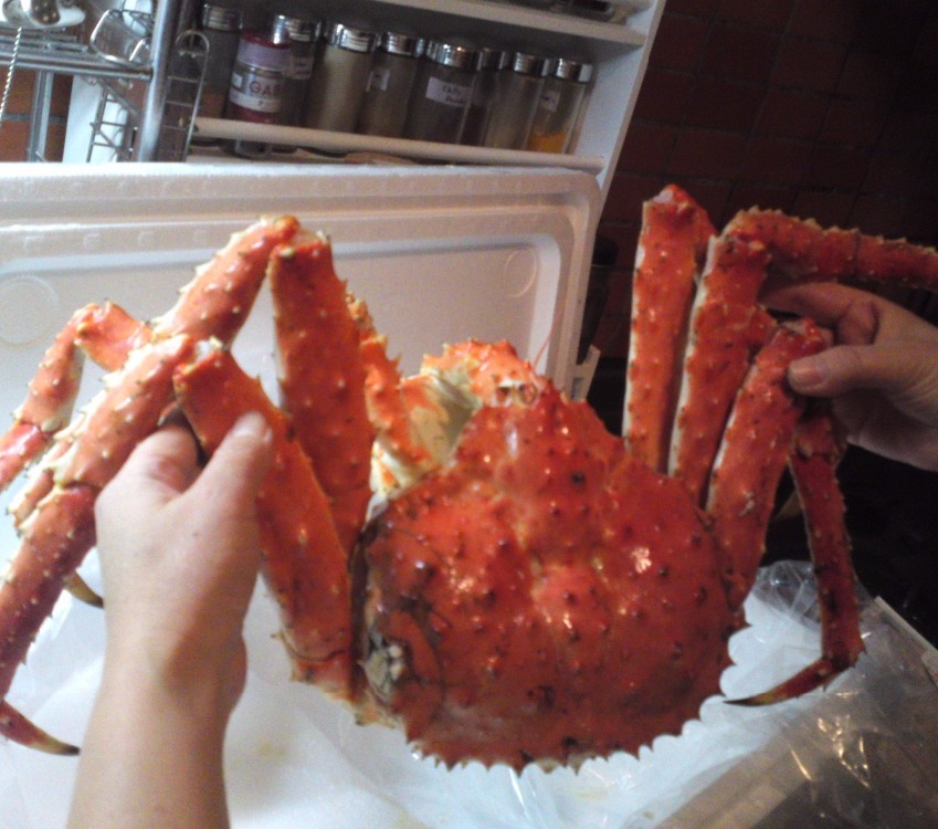 frozen-king-crabs-live-king-crab-king-crab-legs-germany-price-supplier-21food