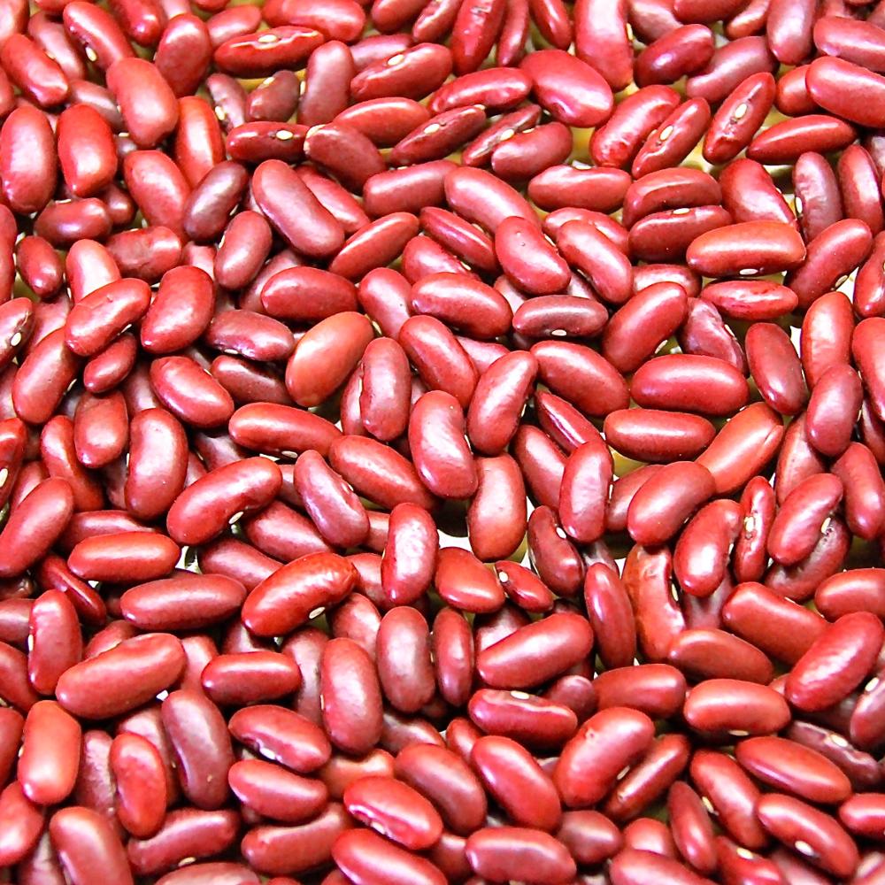 NEW CROP BEST QUALITY BEANS DRY PINTO BEANS LIGHT SPECKLED KIDNEY BEAN FOR SALE,Germany price