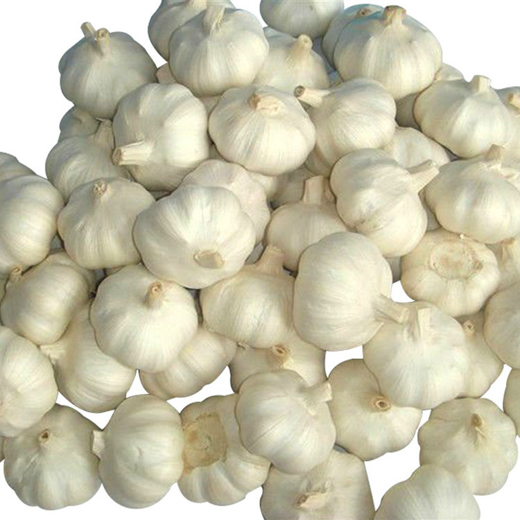 organic peeled vacuum packed solo garlic,Germany price supplier 21food