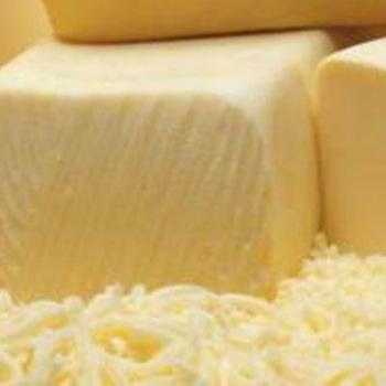 HALAL MOZZARELLA/CHEDDAR CHEESE / GOUDA CHEESE,South Africa price ...