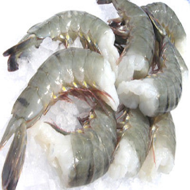 Fresh Black Tiger Shrimps Frozen South Africa Price Supplier 21food