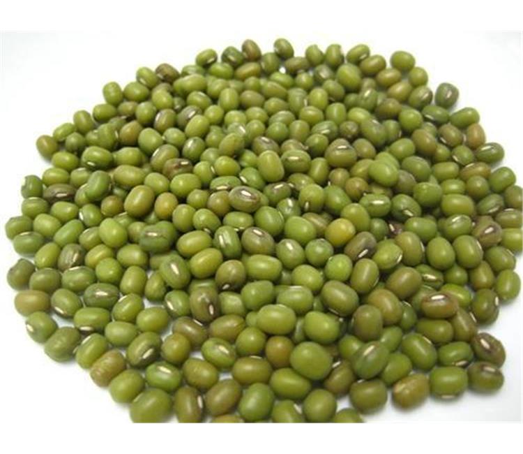 gourmetimports-mung-beans-whole-dry-special-order