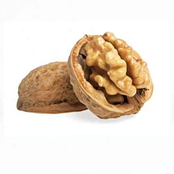 Walnuts high quality walnut kernels,South Africa price supplier - 21food