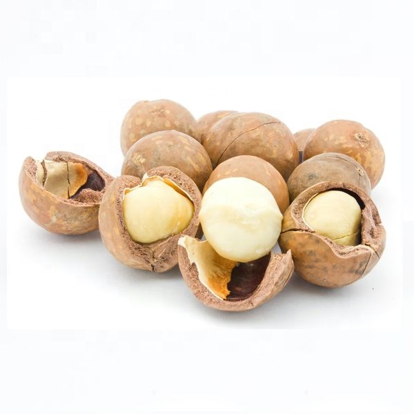 Raw Macadamia Nuts,South Africa price supplier - 21food