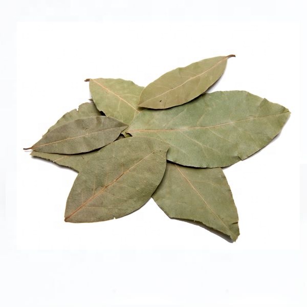 Natural Bay leaf powder/Laurel leaf powder,South Africa price supplier ...