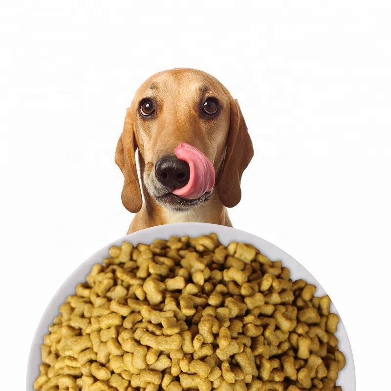 dog-food-south-africa-price-supplier-21food