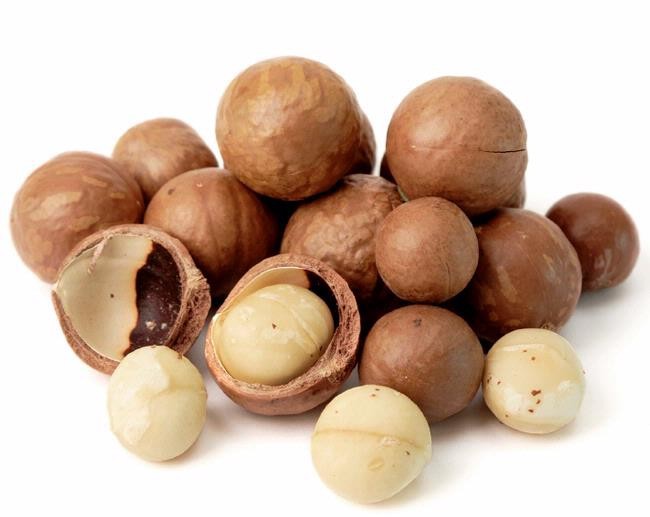 macadamia nuts price