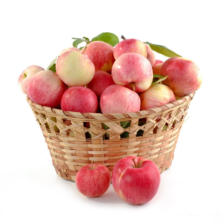 Search products_Red Delicious Sweet Fresh Royal Gala Apple Fresh Fuji and  Red Star Apples and Other Fresh Fruits at Wholesale Price in Bulk for  Export From Our Gardens Maximum Crunchy Fresh Apples