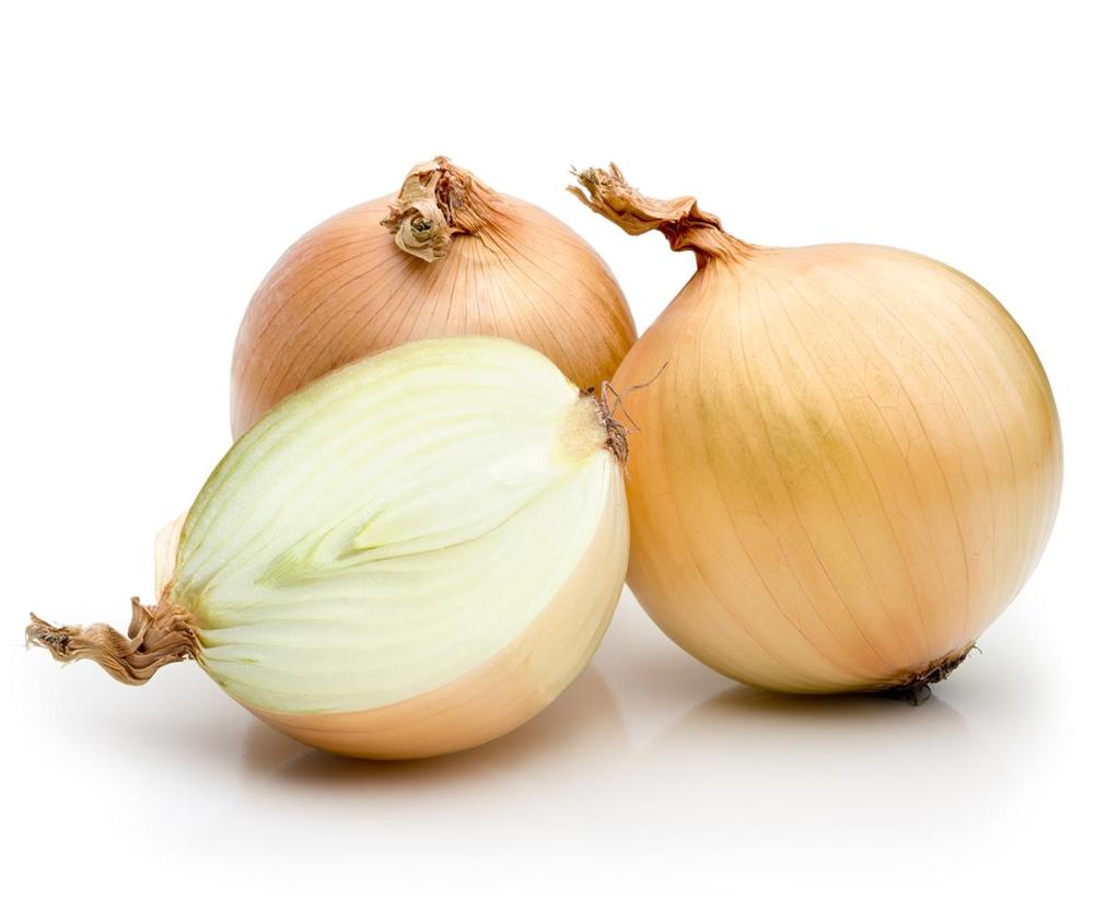 Wholesale yellow fresh onion in carton,South Africa price supplier - 21food