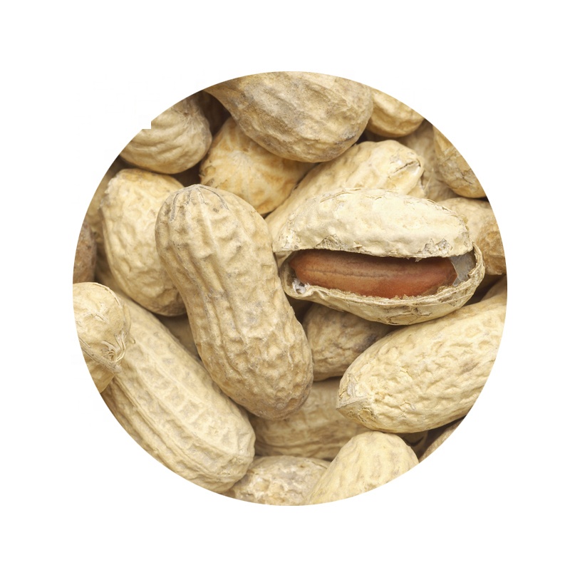 Raw peanuts for sale best prices,South Africa price supplier 21food