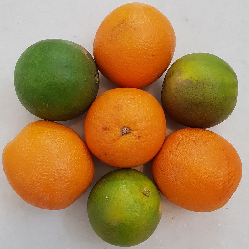 buy-fresh-valencia-oranges-south-africa-price-supplier-21food