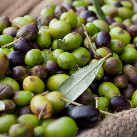 FRESH DATES SEEDS OLIVES MANUFACTURER'S,South Africa price supplier ...