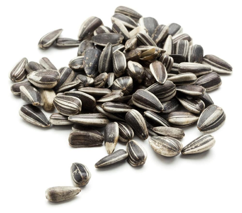 white striped sunflower seeds