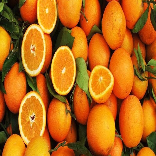 Citrus Fruit, Fresh Honey Oranges,South Africa price supplier - 21food