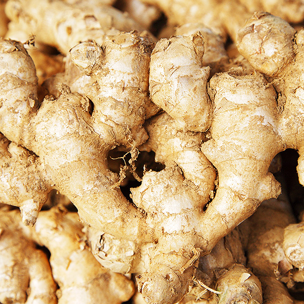 High quality Organic fresh ginger cheap price best quality,South Africa ...