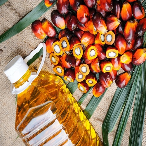 palm-olein-oil-20l-cooking-oil-palm-olein-cp8-cp10-rbd-palm-olein-south